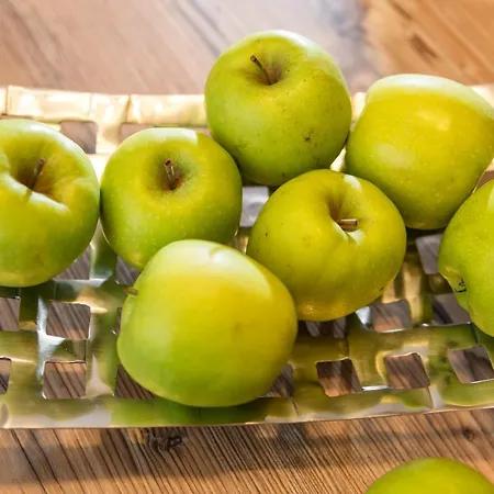 Fuchs - Inklusive Eintritt In Alpentherme Gastein شقة باد هوفغاستين